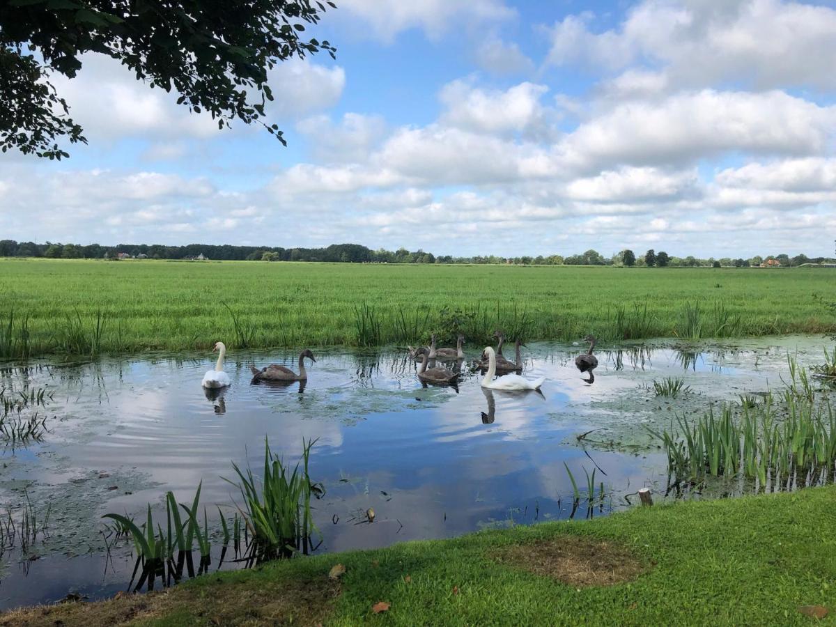 Prive In Een Bosrijke Omgeving Welkom Bij Gastenverblijf Het Ontsnapte Schaap In Jubbega Exteriör bild
